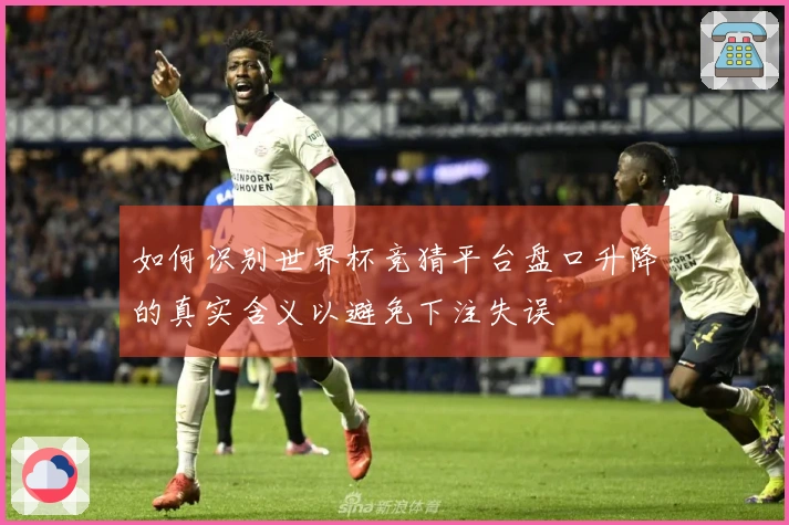 如何识别世界杯竞猜平台盘口升降的真实含义以避免下注失误