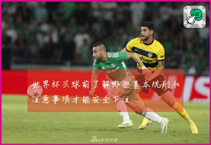 世界杯买球前了解哪些基本规则和注意事项才能安全下注