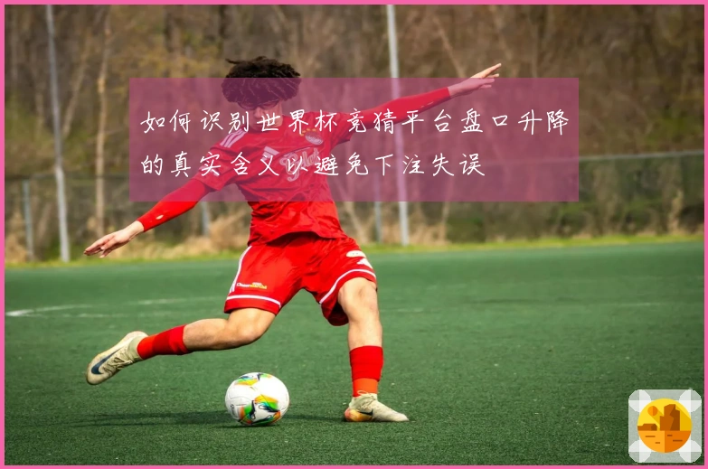 如何识别世界杯竞猜平台盘口升降的真实含义以避免下注失误